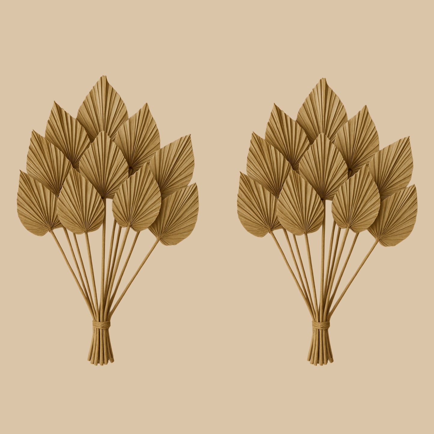 20-Piece Bundle (Best Value)